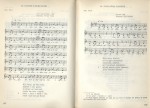 sample pages